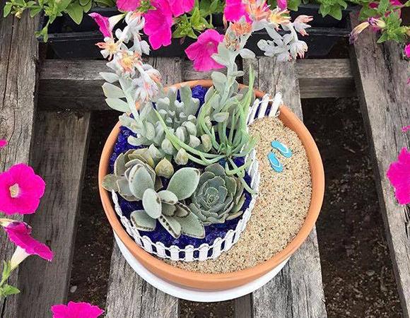 Succulent Bowls & Mimosas